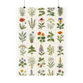 Herbarium Specimen Grid Poster